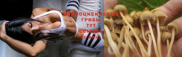 а пвп мука Абаза